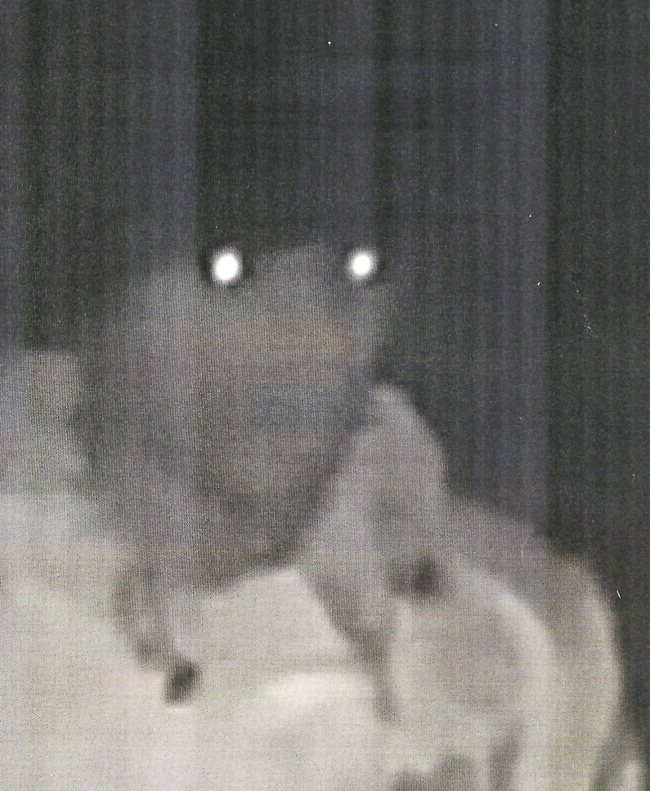 home invasion